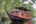 Riverboat cruises with Wow Borneo Kalimantan Indonesia