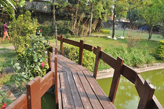 Bridge to the garden