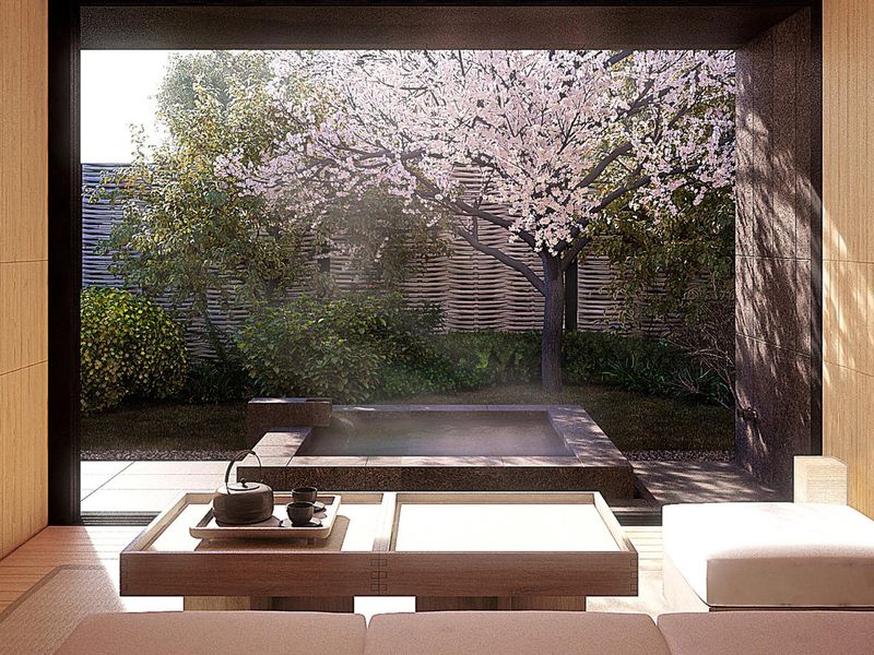 Hot spring at Amanemu
