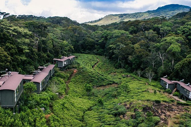The Rainforest Eco Lodge