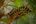 a snake coiled up on a tree branch