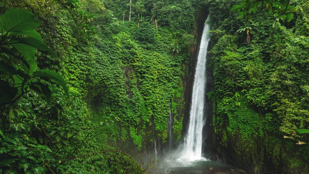 Waterfall in Munduk Bali