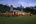 Tea Trails at night