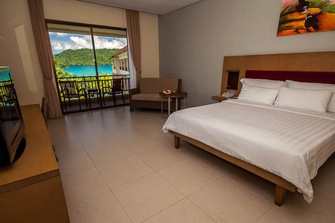 Deluxe standard room