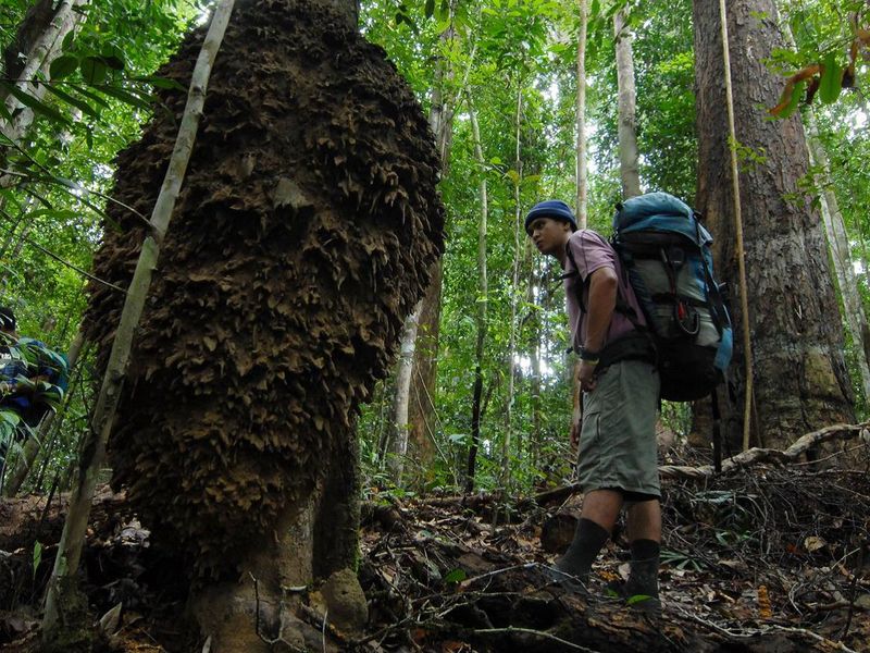 Maliau Basin