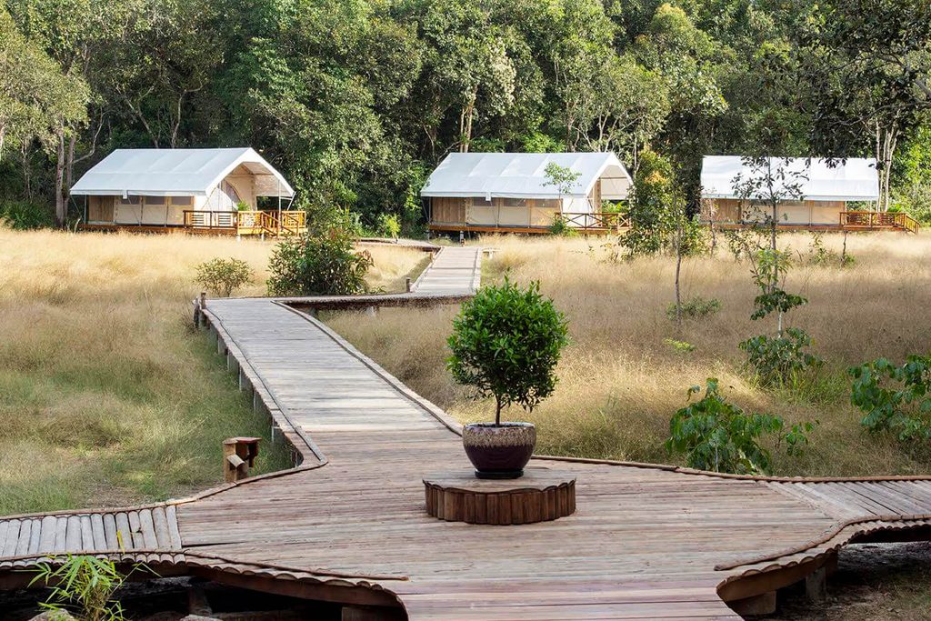 Cardamom Tented Camp tents Cambodia