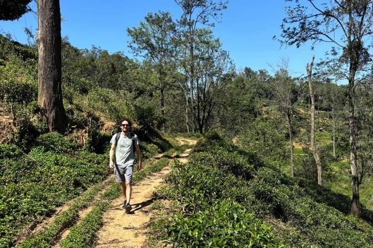 Walking the Pekoe Trail
