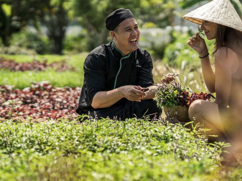 Herb garden at Four Seasons Nam Hai Hoi An