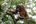 a monkey sitting on a tree branch