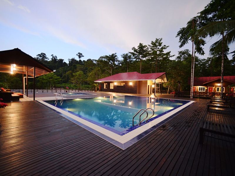 Swimming pool at dusk at Kinabatangan Riverside Lodge