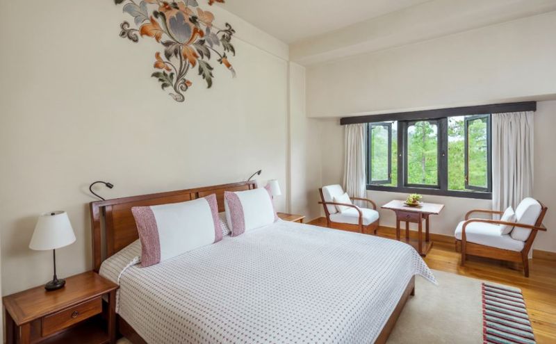 Forest view room