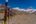 a row of flags in a desert