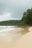 a sandy beach with trees and water
