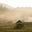 a hut in a field