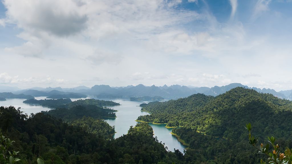 Elephant hills