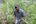 a man standing in tall grass