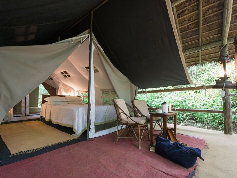 Tharu Lodge's luxury tented accomodation