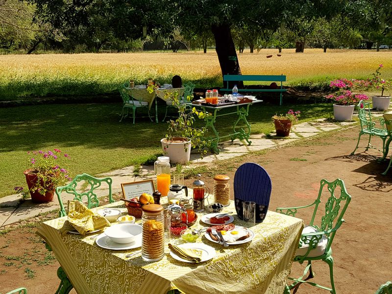 Breakfast on the terrace at Shahpura Bagh