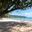 a swing from a tree on a beach