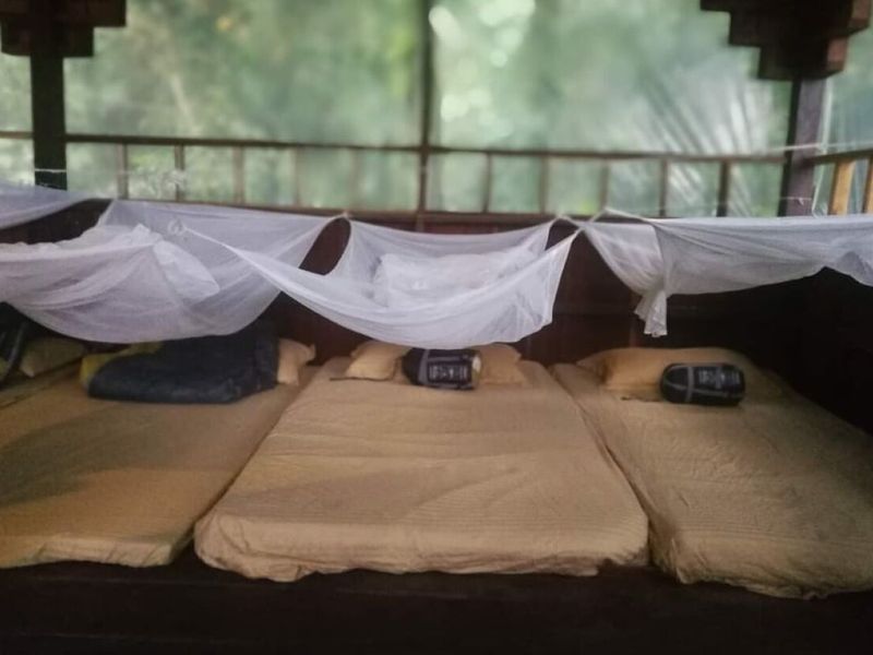tree house bed