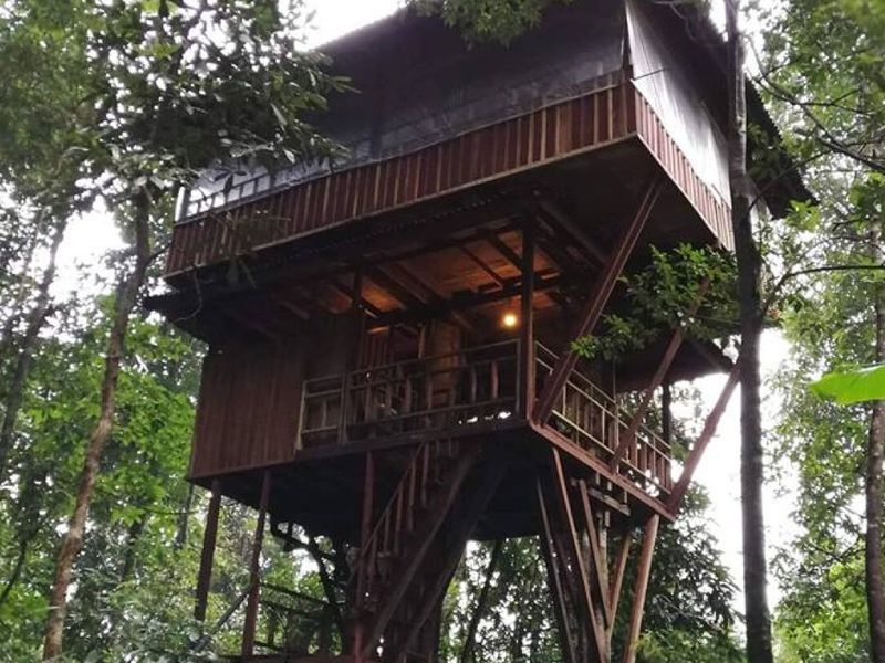 tree house