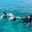 Snorkelling Maldives