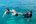 Snorkelling Maldives