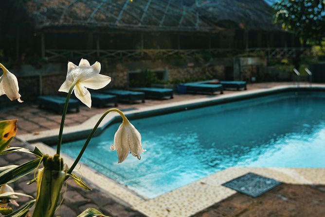 Stylish outdoor pool