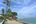 a beach with palm trees and a body of water