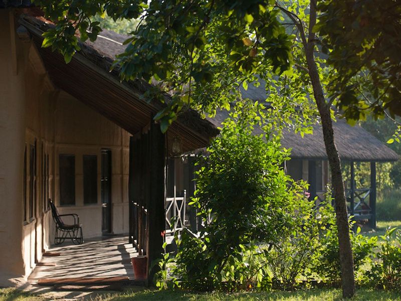 Veranda with green trees at Karnali Lodge