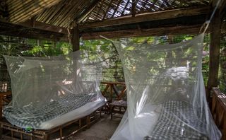 Nam Nern Eco Lodge
