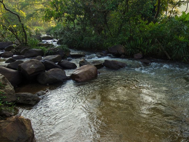 Kelani River Kitulgala Sri Lanka