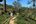 a man walking on a dirt path in a forest