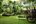 Green gardens at Anantara Riverside