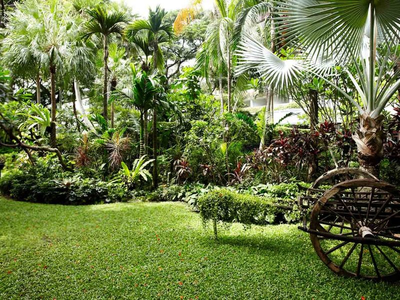 Green gardens at Anantara Riverside