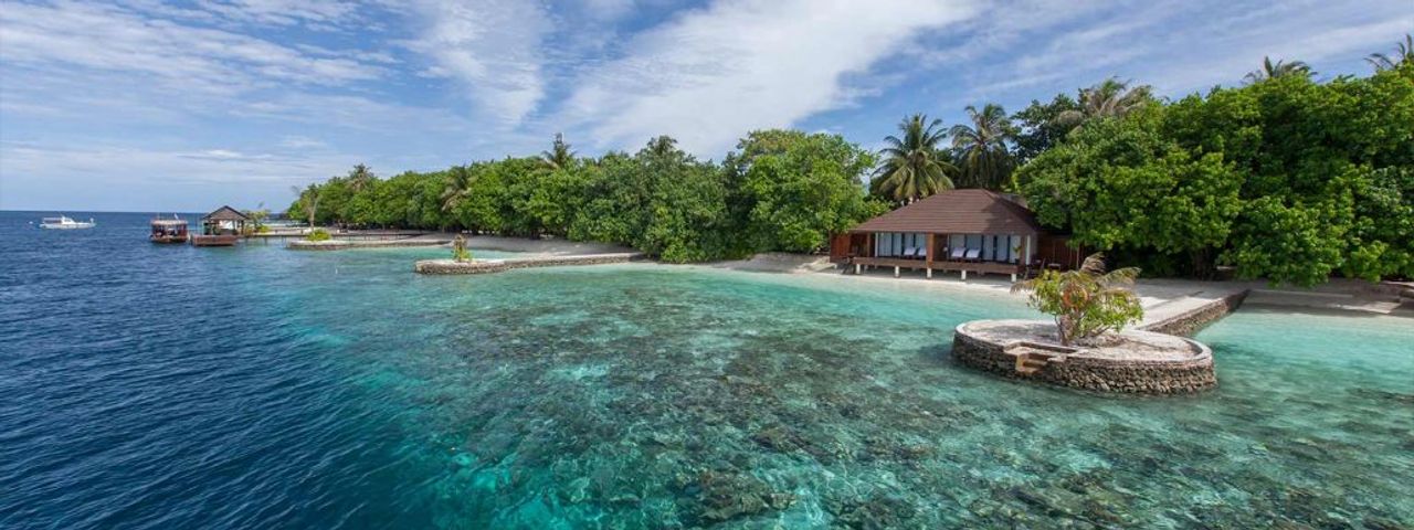 Lily Beach