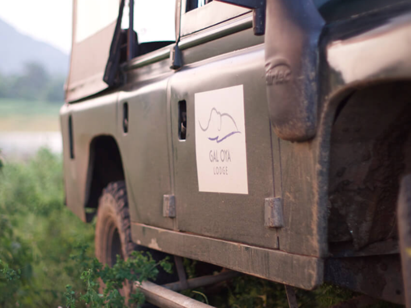 Jeep safari at Gal Oya Lodge
