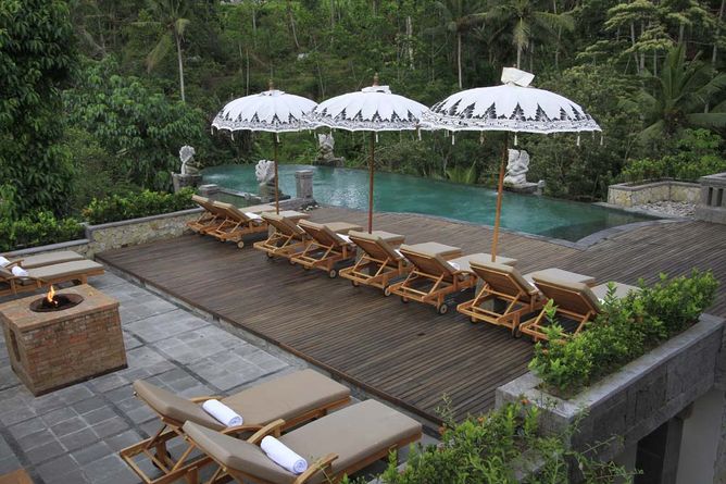 Swimming pool overlooking the forest