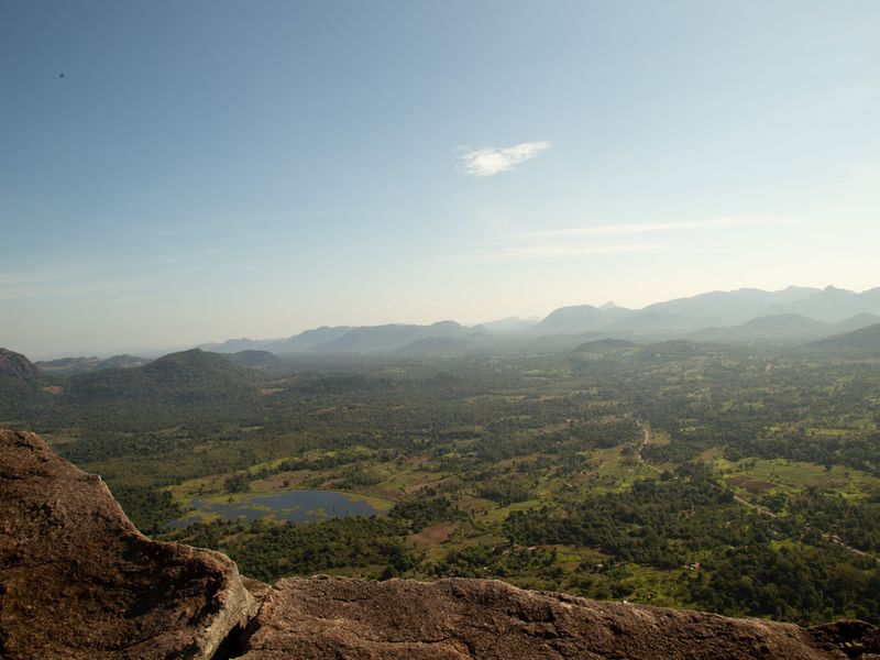 Gal Oya lodge