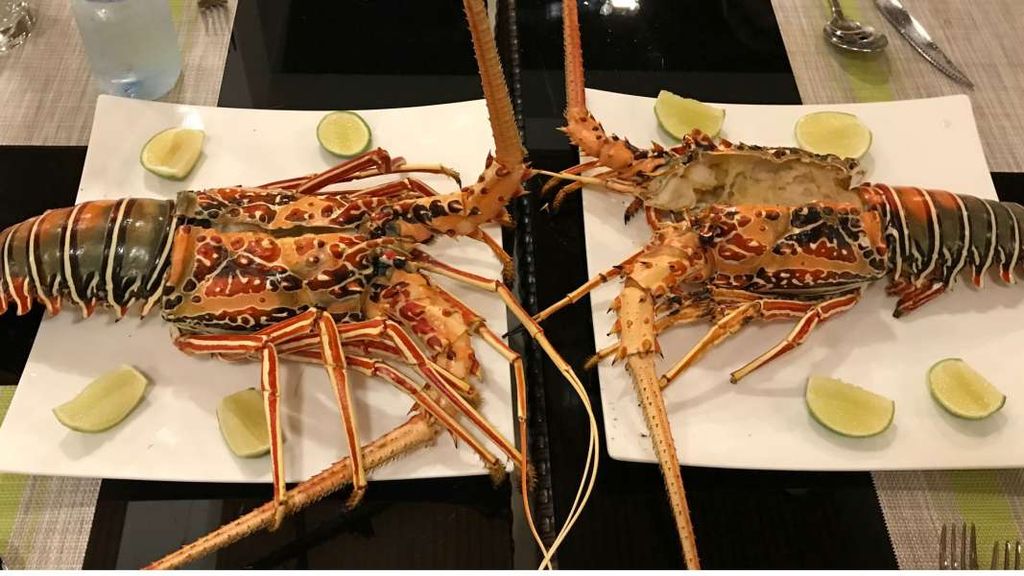 Lobsters ready to eat in the Maldives