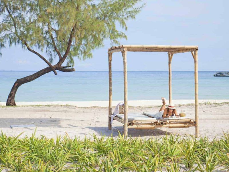 Beach loungers at Royal Sands