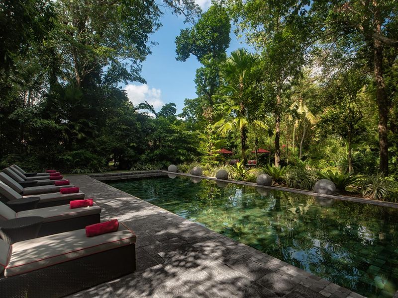 Pool with loungers at The Wallawwa