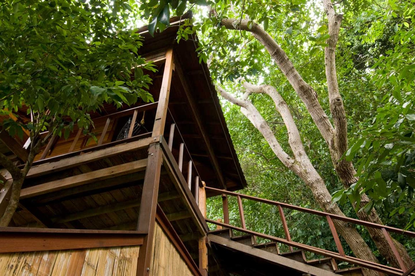 Bungalows surrounded by trees at Japamala Resort