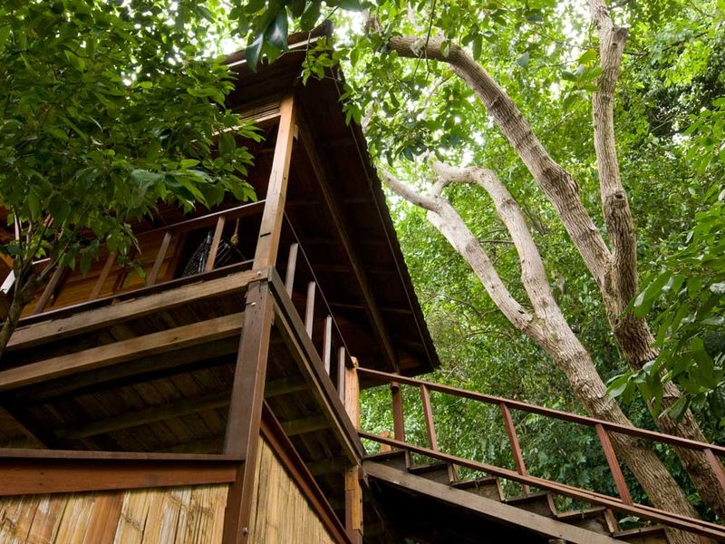 Bungalows surrounded by trees at Japamala Resort