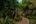 Greenery on the walkway at The Wallawwa