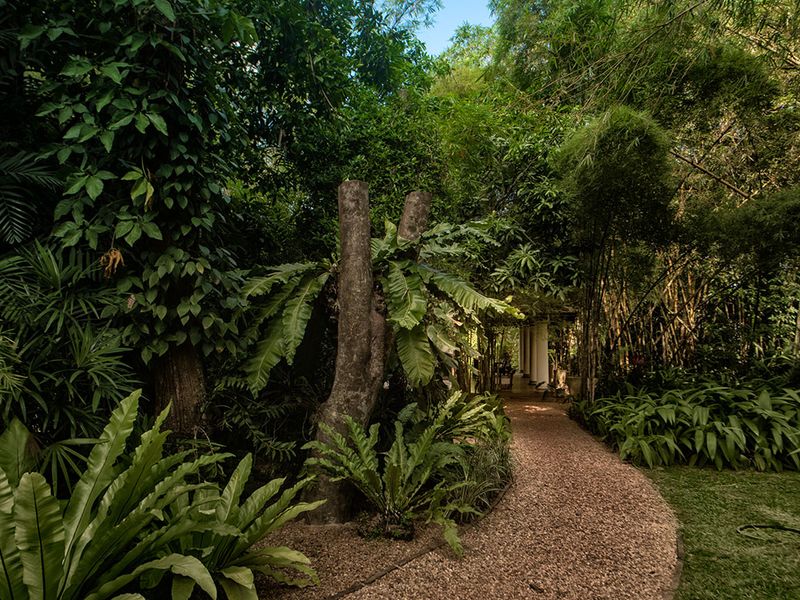 Greenery on the walkway at The Wallawwa