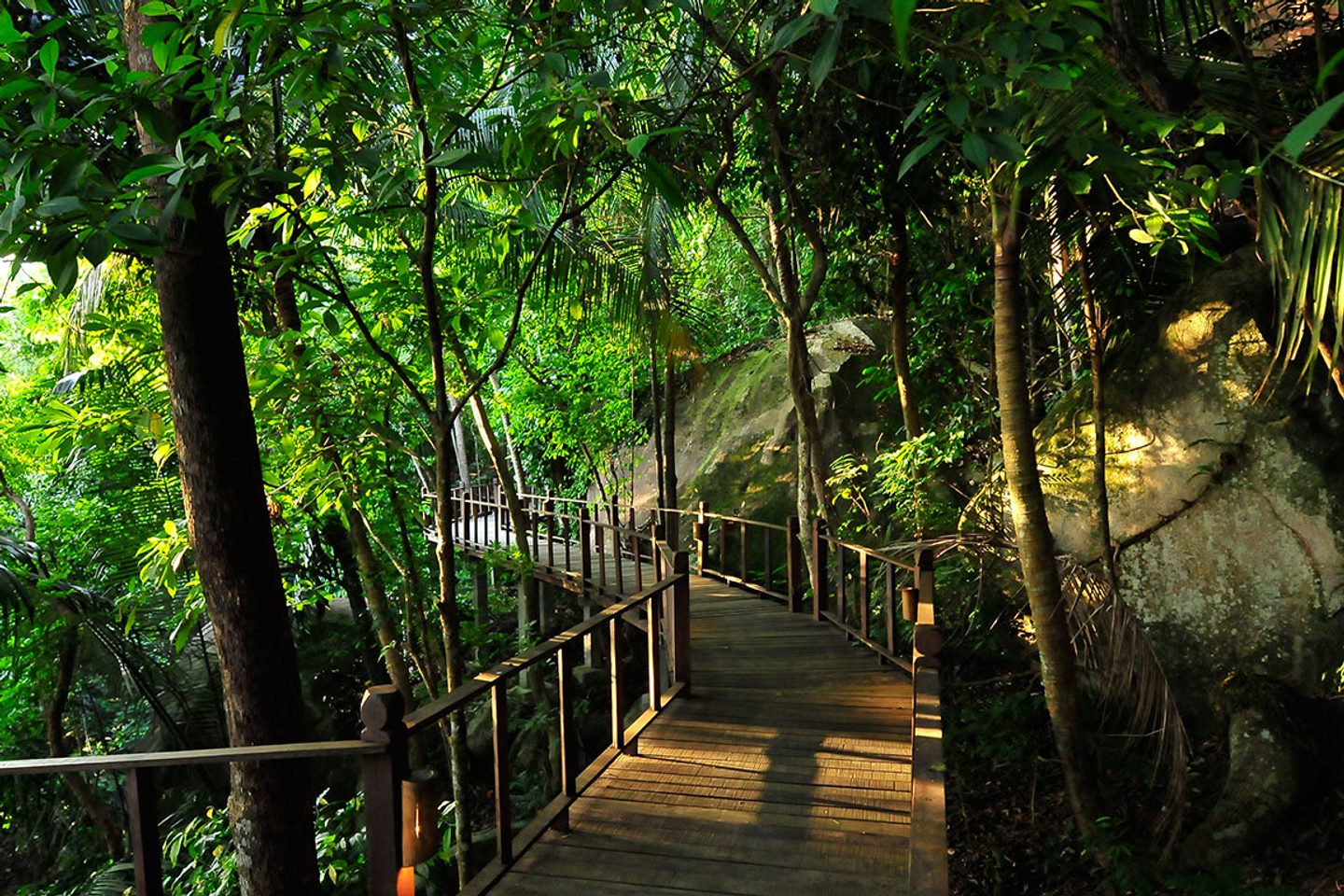 Walkway through the jungle at Japamala Resort