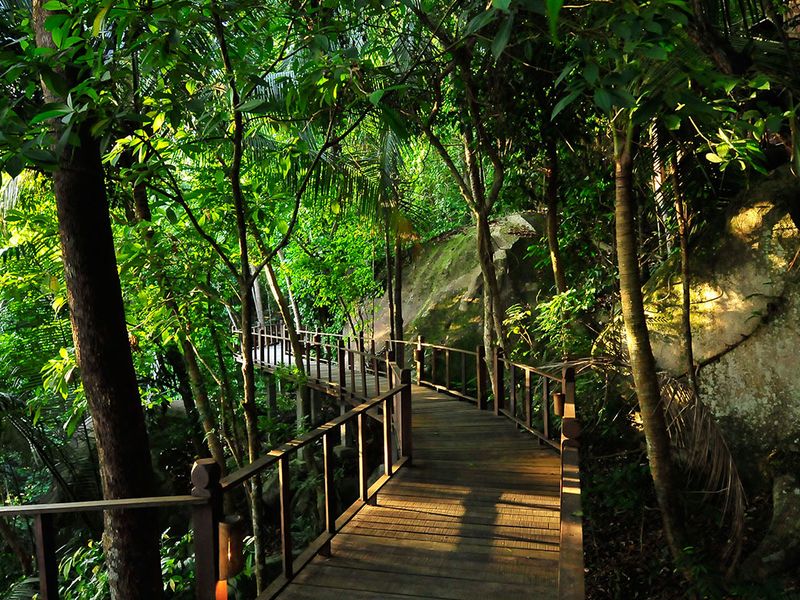 Walkway through the jungle at Japamala Resort