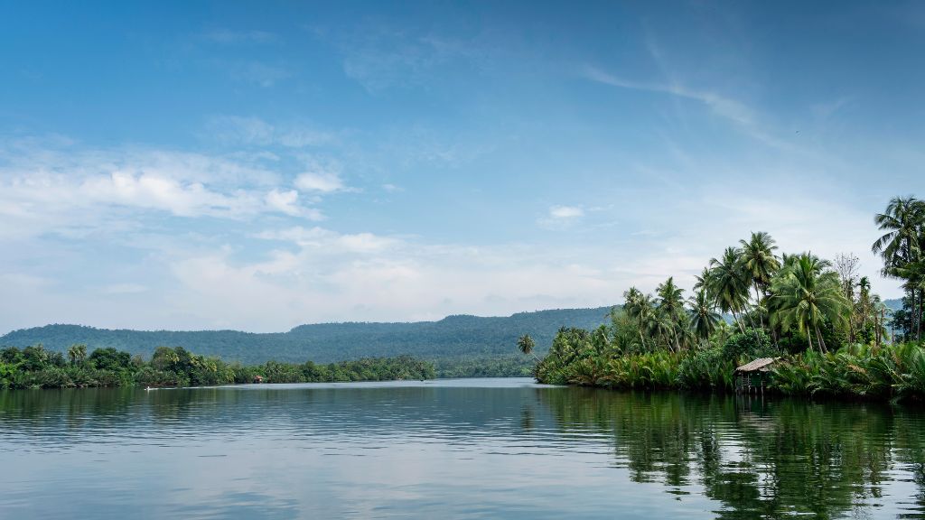 River in the Cardamom Mountains