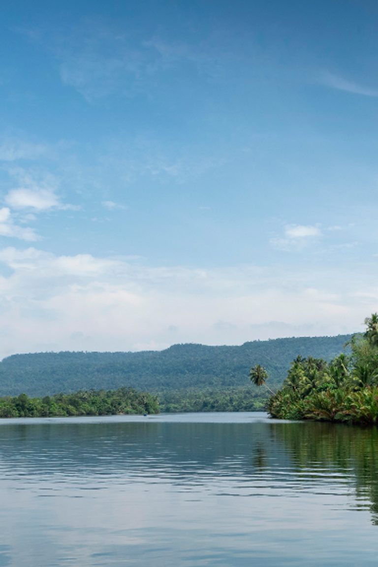 Cardamom Mountains Cambodia